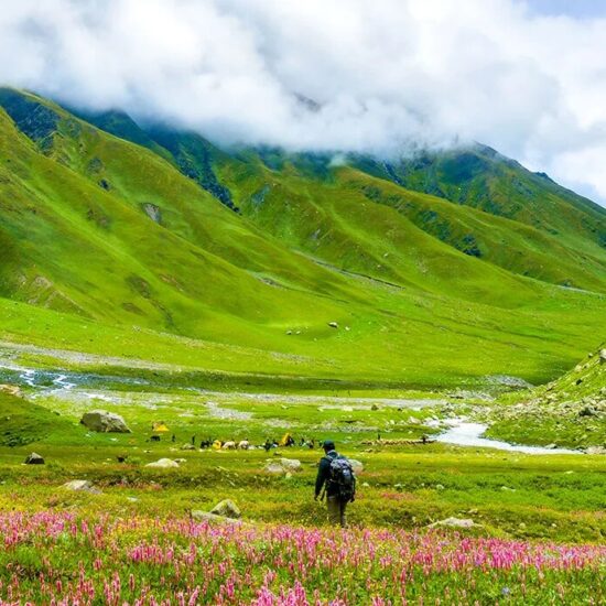 Trekking through alpine meadows on the Bhaba Pass Trek