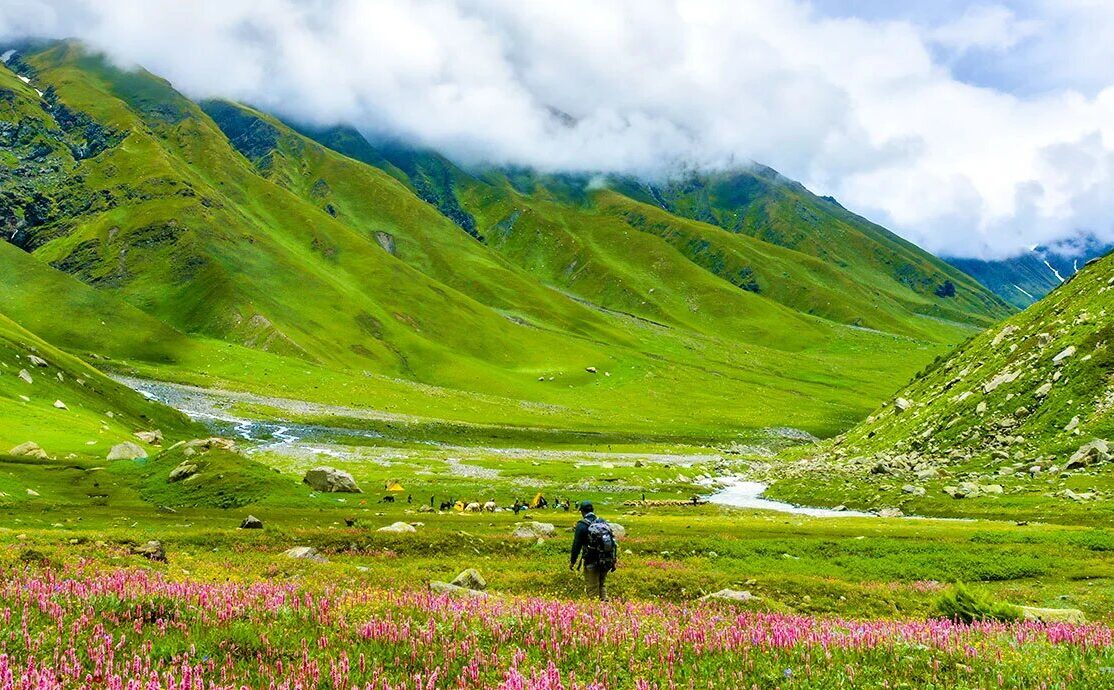 Trekking through alpine meadows on the Bhaba Pass Trek