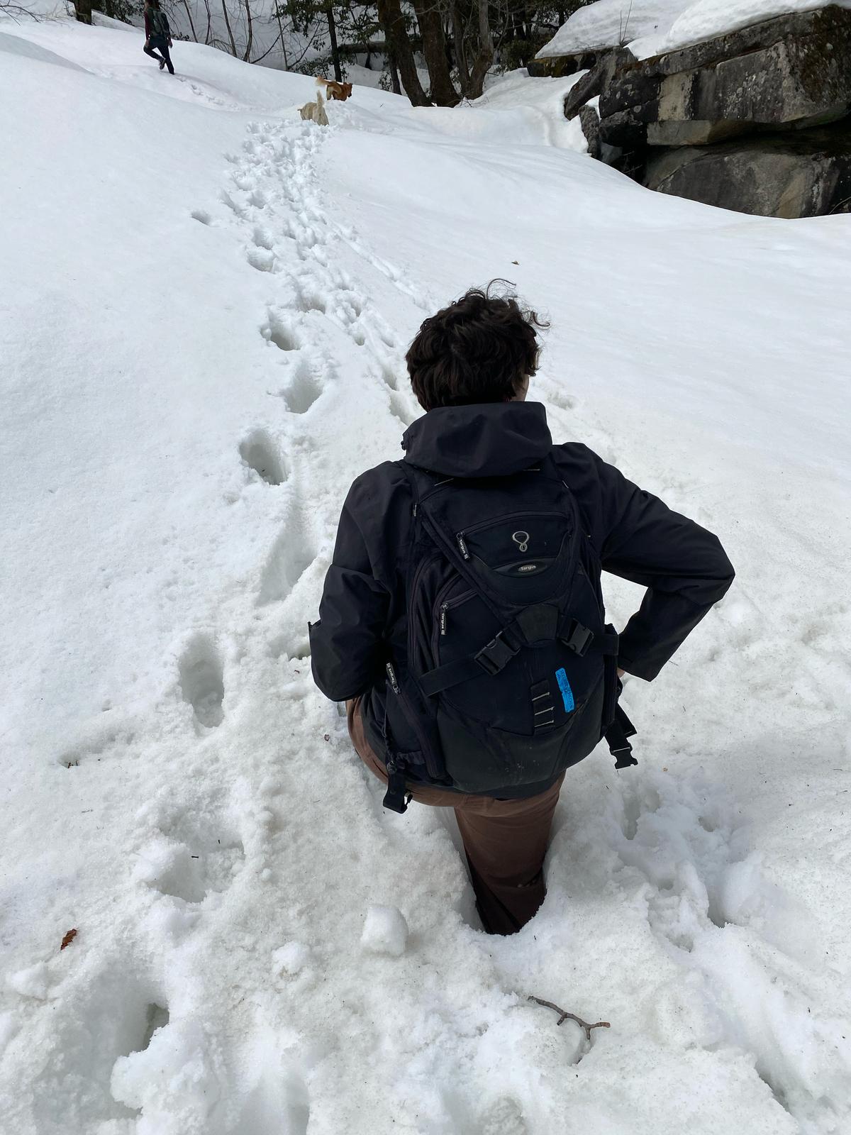 easy trekking trails in Manali Lamadugh forest