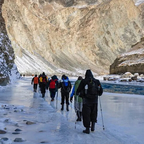 Trekkers walking on frozen Zanskar River during Chadar Trek Ladakh