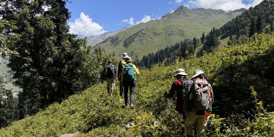 Trekker walking through forest trail on Hampta Circle Trek