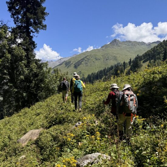 Trekker walking through forest trail on Hampta Circle Trek