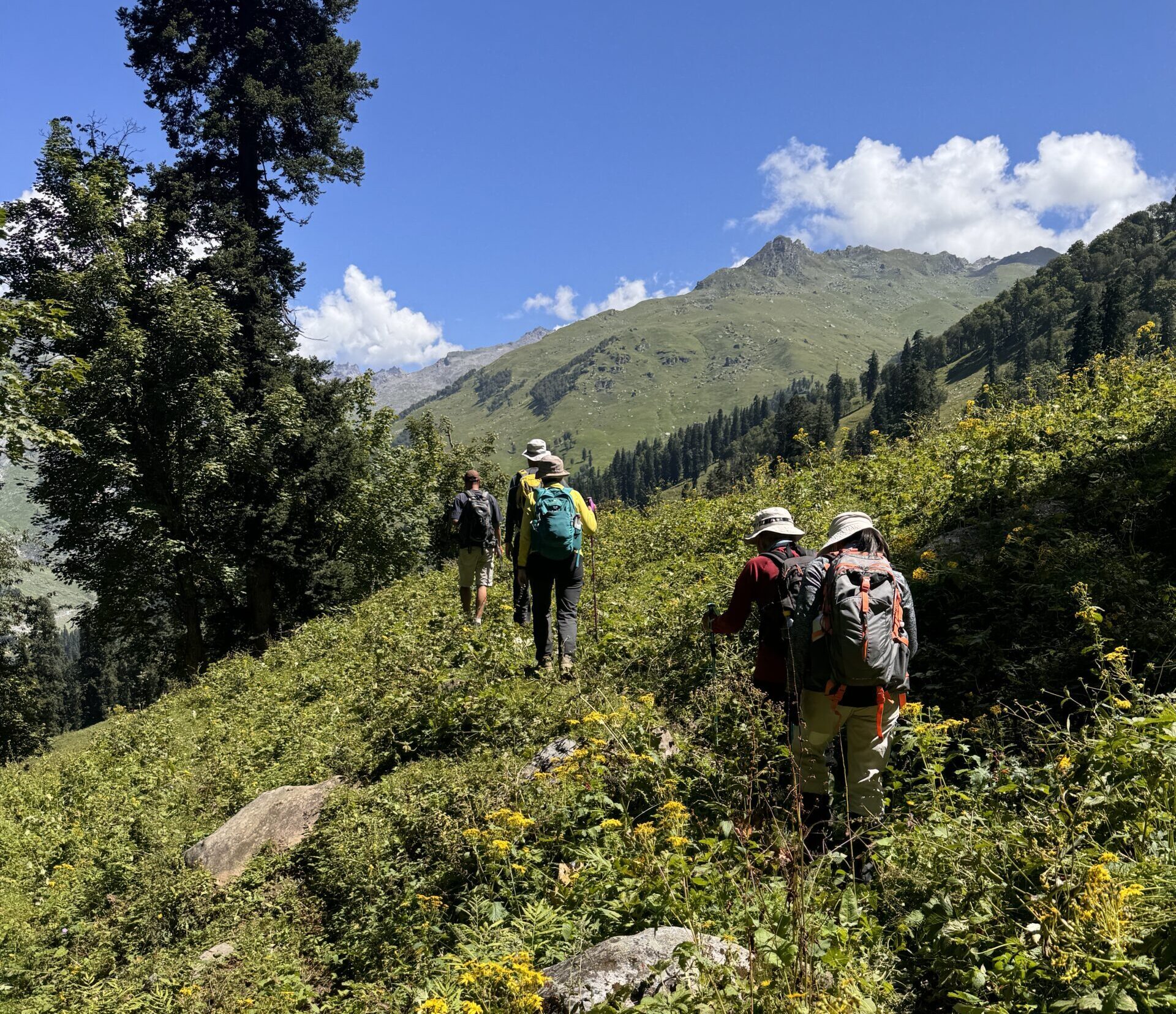 Trekker walking through forest trail on Hampta Circle Trek