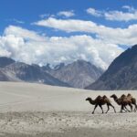 Ladakh travel guide