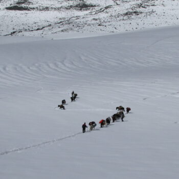 Trekker crossing Kalihani Pass with the Dhauladhar range in the background
