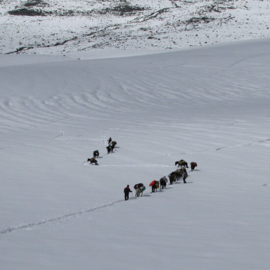 Trekker crossing Kalihani Pass with the Dhauladhar range in the background