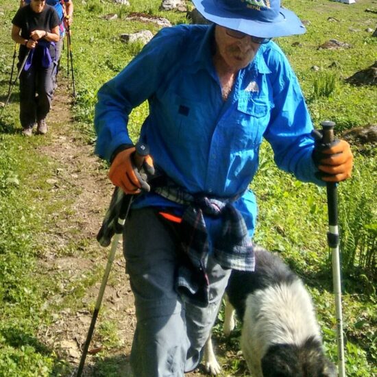 Nillia Lake Trek alpine meadow and Himalayan peaks