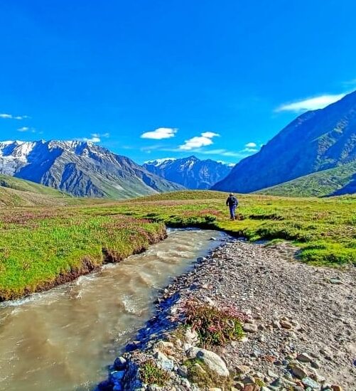 Panoramic view of Miyar Valley Trek with snow-capped peaks and alpine meadows