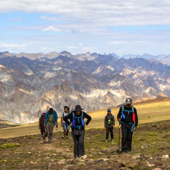 Trekkers hiking through Markha Valley with Kang Yatse peak in the background